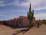 Cactus Motel, AZ